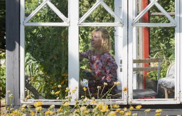 Kasvihuoneen syyshuolto