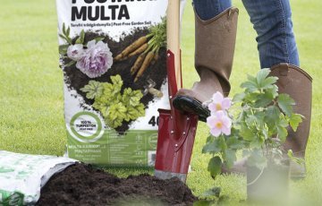 Vinkit syysistutukseen