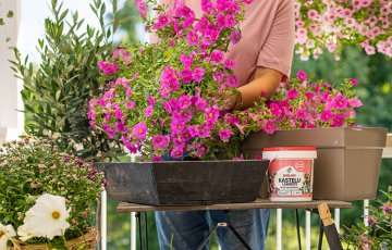 PARVEKE − VIHREÄ KEIDAS KESKELLÄ KAUPUNKIA