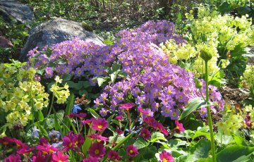 Puutarhan kevätkunnostus