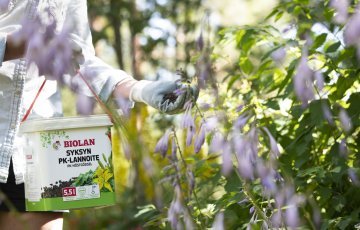 Syyslannoitus annetaan heinä-elokuussa