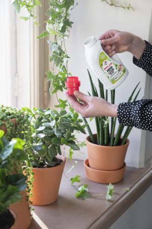 Biolan Merileväuute