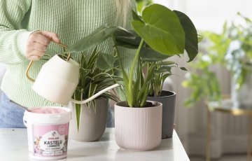 Huonekasvien kastelu