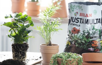 Millaista multaa valitsen viherkasveilleni?