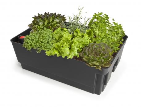 Biolan Planter Kasvatusallas