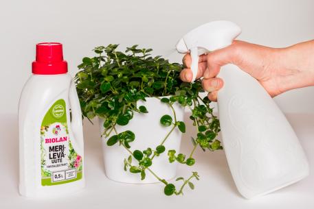 Biolan Merileväuute